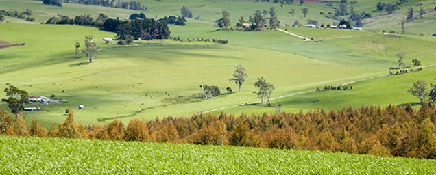 Rolling-farmland-of-Moltema Rolling-farmland-of-Moltema